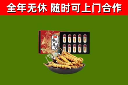 琅琊区回收冬虫夏草价格